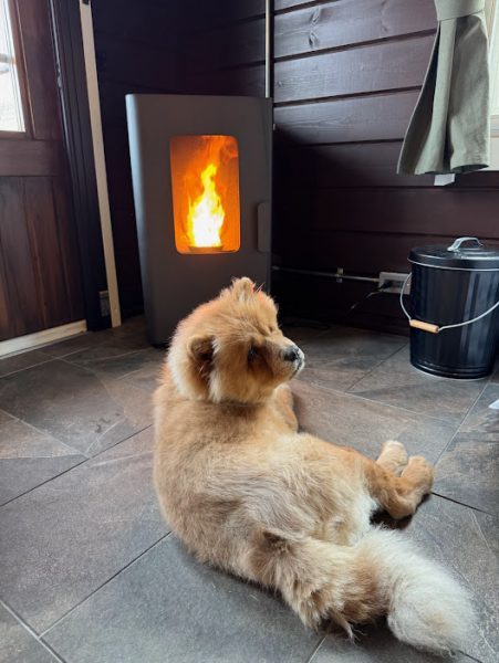 滋賀県ペレスター４０設置